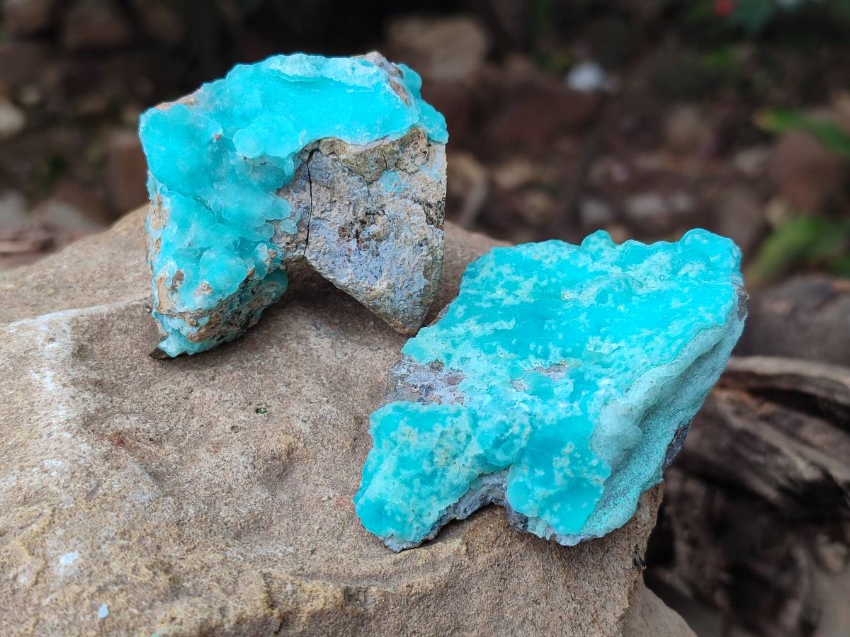 Natural Hemimorphite on Dolomite Specimens x 6 From Lupoto Mine, Congo - Toprock Gemstones and Minerals 