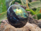 Polished Labradorite Palm Stones x 12 From Tulear, Madagascar - Toprock Gemstones and Minerals 