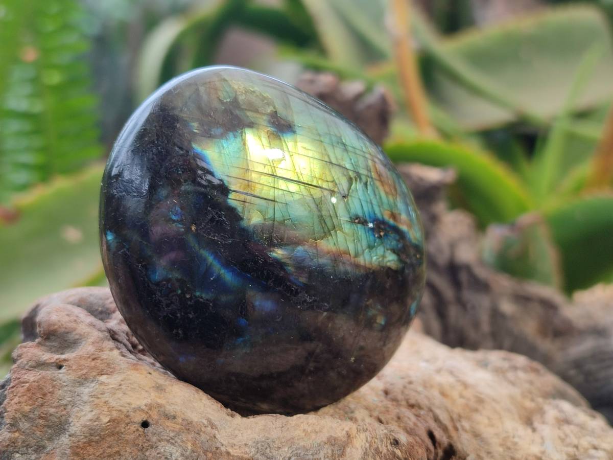 Polished Labradorite Palm Stones x 12 From Tulear, Madagascar - Toprock Gemstones and Minerals 