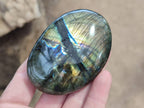 Polished Labradorite Palm Stones x 12 From Tulear, Madagascar - Toprock Gemstones and Minerals 