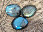 Polished Labradorite Palm Stones x 12 From Tulear, Madagascar - Toprock Gemstones and Minerals 