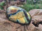 Polished Labradorite Palm Stones x 12 From Tulear, Madagascar - Toprock Gemstones and Minerals 