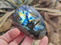 Polished Labradorite Palm Stones x 12 From Tulear, Madagascar