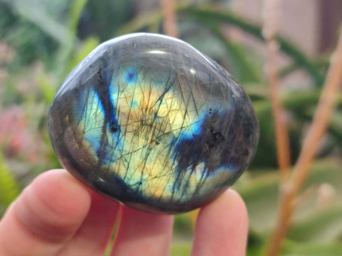 Polished Labradorite Palm Stones x 12 From Tulear, Madagascar - Toprock Gemstones and Minerals 
