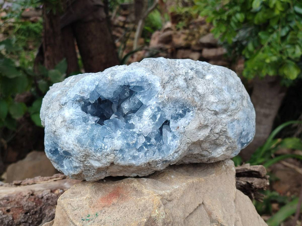 Natural Blue Celestite Crystal Specimen x 1 From Sakoany, Madagascar - Toprock Gemstones and Minerals 