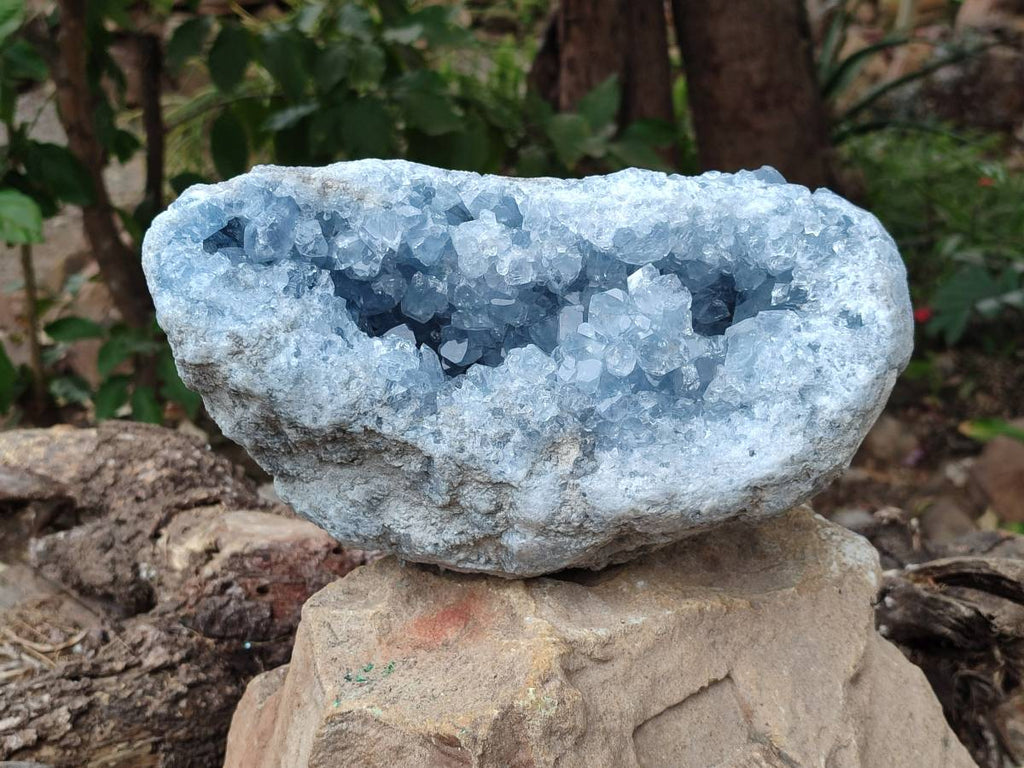Natural Blue Celestite Crystal Specimen x 1 From Sakoany, Madagascar - Toprock Gemstones and Minerals 