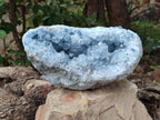 Natural Blue Celestite Crystal Specimen x 1 From Sakoany, Madagascar - Toprock Gemstones and Minerals 