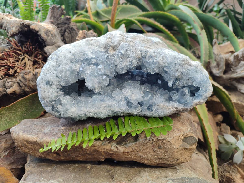 Natural Blue Celestite Crystal Specimen x 1 From Sakoany, Madagascar - Toprock Gemstones and Minerals 