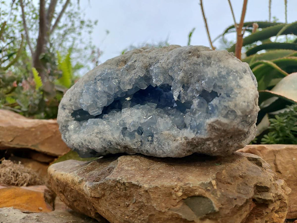 Natural Blue Celestite Crystal Specimen x 1 From Sakoany, Madagascar - Toprock Gemstones and Minerals 
