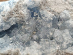 Natural Blue Celestite Crystal Specimen x 1 From Sakoany, Madagascar - Toprock Gemstones and Minerals 