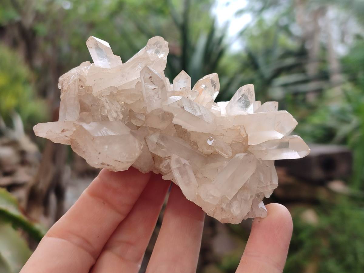 Natural Quartz Clusters x 12 From Madagascar - Toprock Gemstones and Minerals 