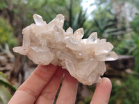 Natural Quartz Clusters x 12 From Madagascar