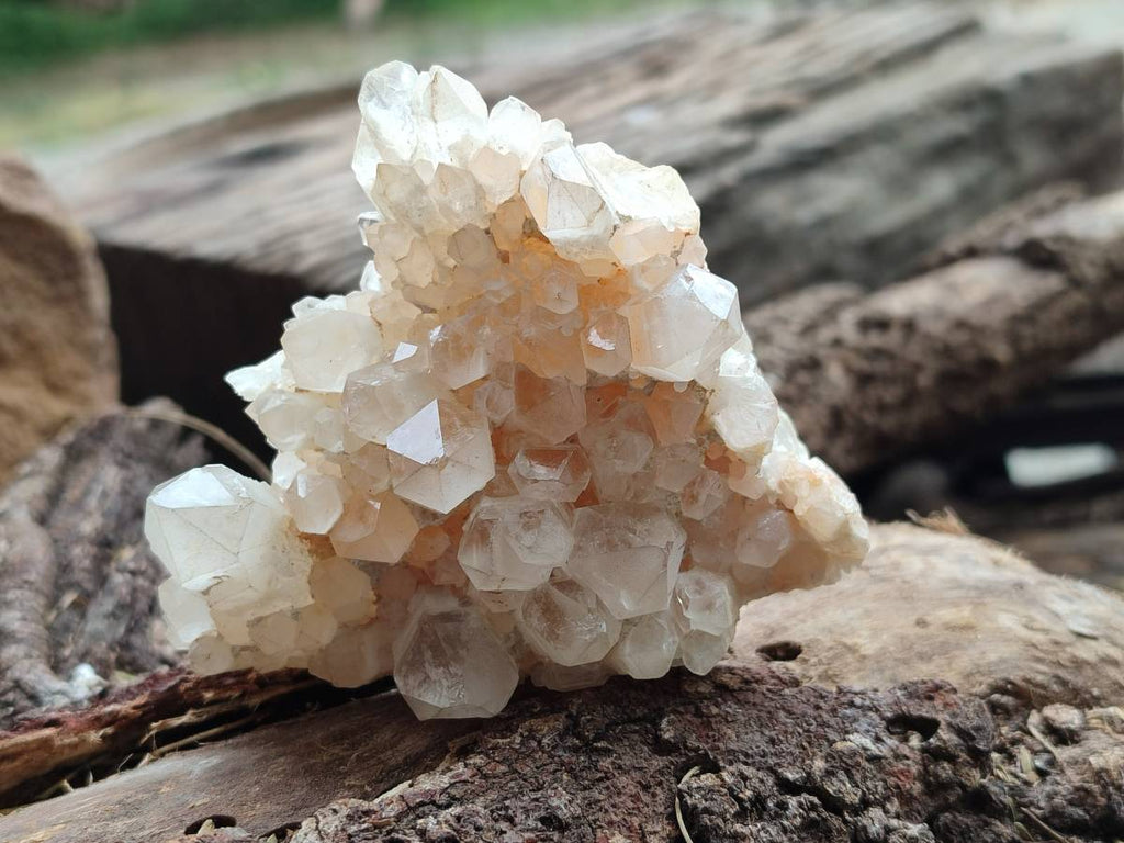 Natural Quartz Clusters x 12 From Madagascar - Toprock Gemstones and Minerals 