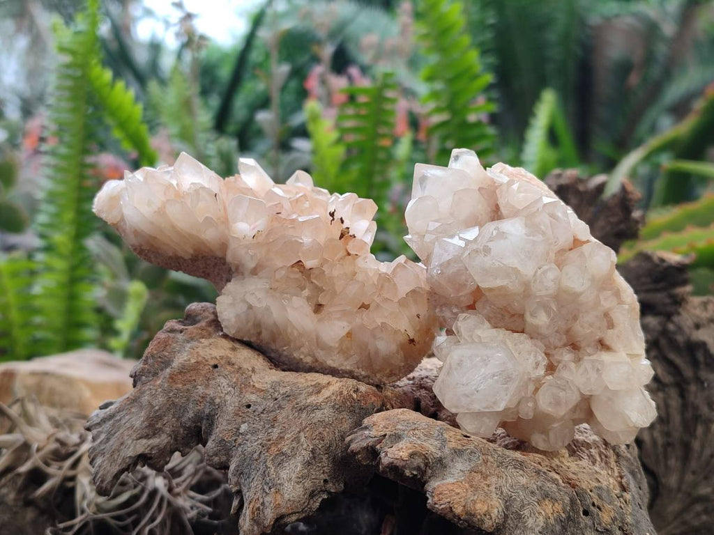 Natural Quartz Clusters x 12 From Madagascar - Toprock Gemstones and Minerals 