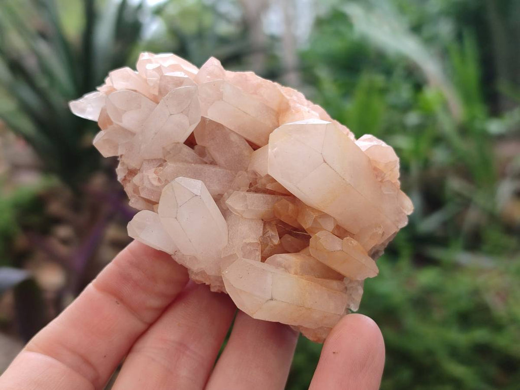 Natural Quartz Clusters x 12 From Madagascar - Toprock Gemstones and Minerals 