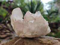 Natural Quartz Clusters x 12 From Madagascar