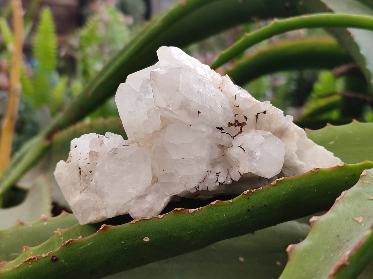Natural Quartz Clusters x 12 From Madagascar - Toprock Gemstones and Minerals 