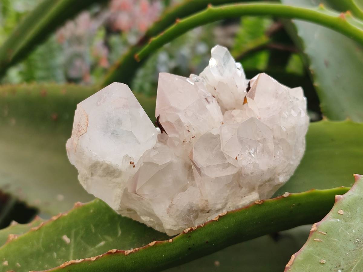 Natural Quartz Clusters x 12 From Madagascar - Toprock Gemstones and Minerals 