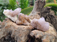 Natural Amethyst Spirit Quartz Crystals x 70 From Boekenhouthoek, South Africa