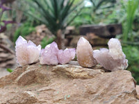 Natural Amethyst Spirit Quartz Crystals x 70 From Boekenhouthoek, South Africa