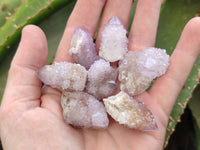Natural Amethyst Spirit Quartz Crystals x 70 From Boekenhouthoek, South Africa