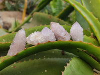 Natural Amethyst Spirit Quartz Crystals x 70 From Boekenhouthoek, South Africa