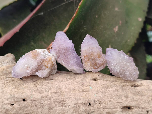 Natural Amethyst Spirit Quartz Crystals x 70 From Boekenhouthoek, South Africa