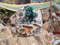 Natural Ball Malachite and Drusy Quartz On Dolomite Matrix Specimen x 1 From Kambove, Congo