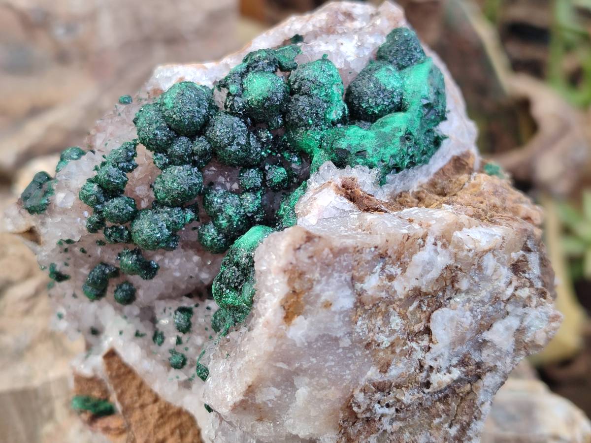 Natural Ball Malachite and Drusy Quartz On Dolomite Matrix Specimen x 1 From Kambove, Congo - Toprock Gemstones and Minerals 