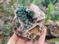 Natural Ball Malachite and Drusy Quartz On Dolomite Matrix Specimen x 1 From Kambove, Congo