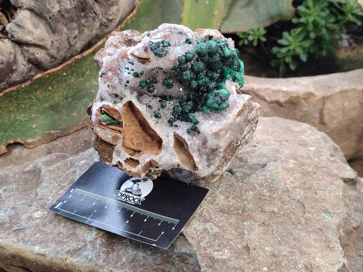 Natural Ball Malachite and Drusy Quartz On Dolomite Matrix Specimen x 1 From Kambove, Congo - Toprock Gemstones and Minerals 
