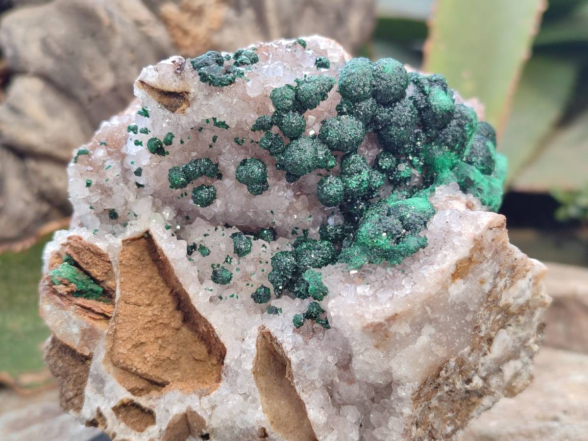 Natural Ball Malachite and Drusy Quartz On Dolomite Matrix Specimen x 1 From Kambove, Congo - Toprock Gemstones and Minerals 