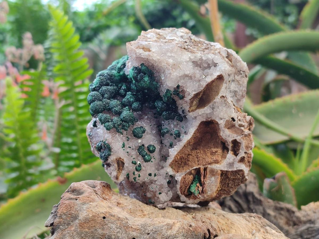 Natural Ball Malachite and Drusy Quartz On Dolomite Matrix Specimen x 1 From Kambove, Congo - Toprock Gemstones and Minerals 