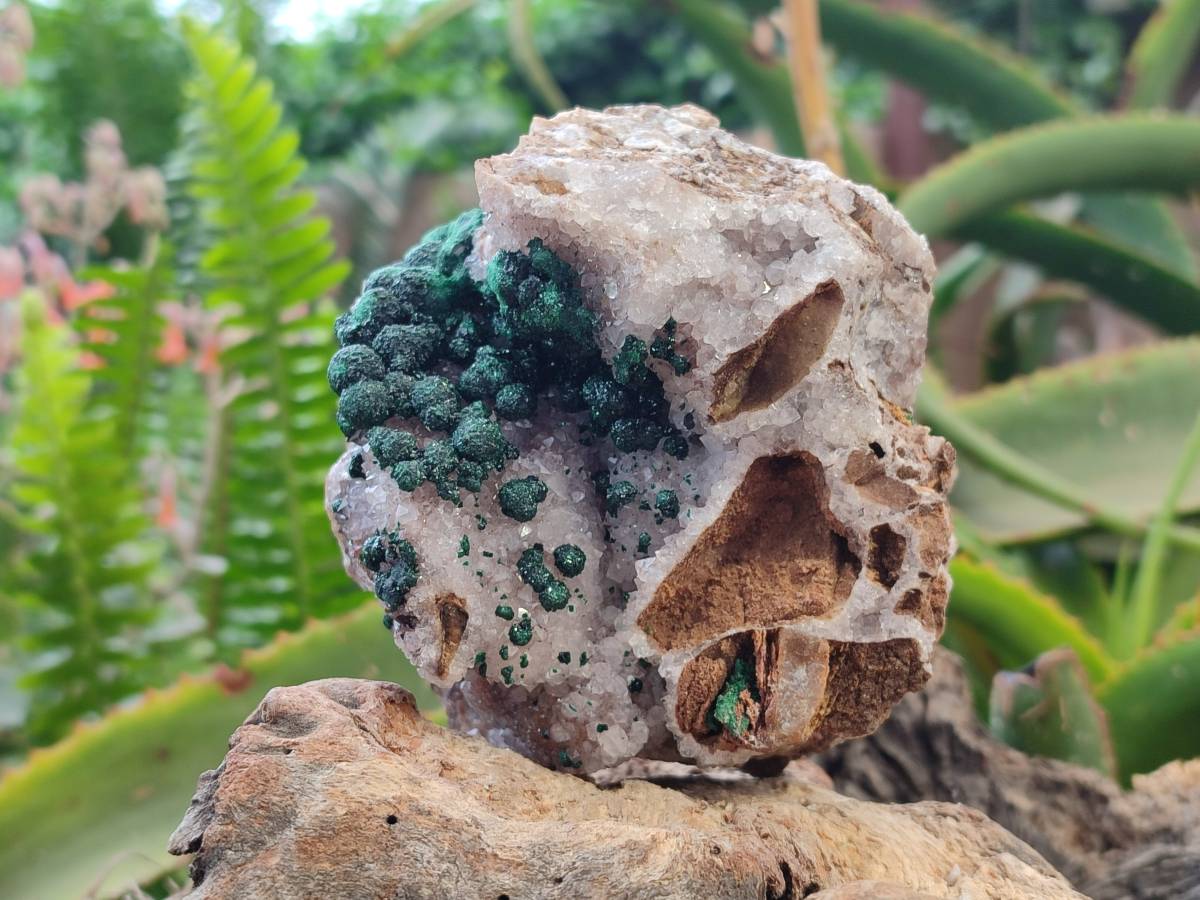 Natural Ball Malachite and Drusy Quartz On Dolomite Matrix Specimen x 1 From Kambove, Congo - Toprock Gemstones and Minerals 