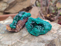Natural Dioptase On Dolomite Specimens x 12 From Likasi, Congo