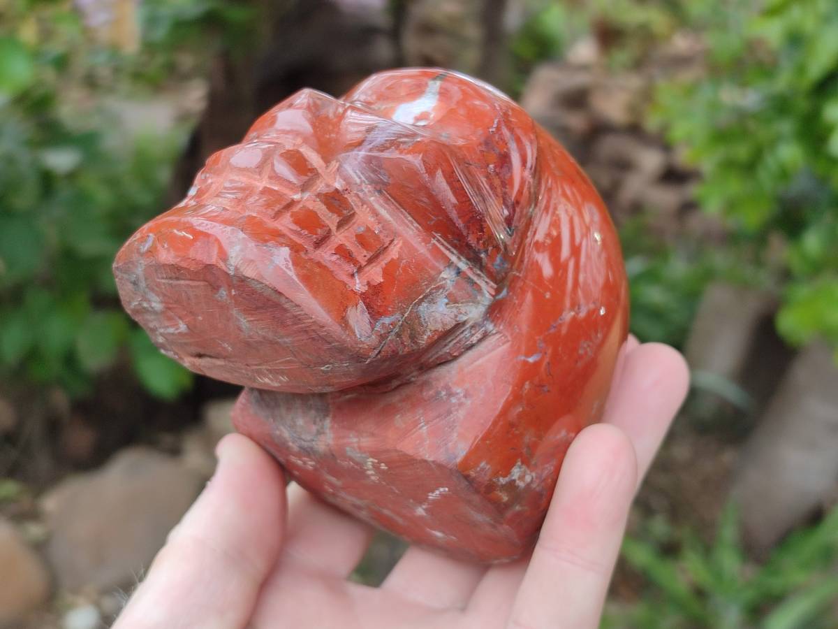 Hand Made Red Jasper Skull x 1 From Madagascar - Toprock Gemstones and Minerals 