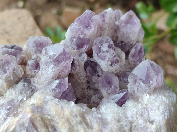 Natural Large Sugar Amethyst Cluster x 1 From Zambia