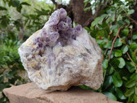 Natural Large Sugar Amethyst Cluster x 1 From Zambia