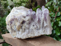 Natural Large Sugar Amethyst Cluster x 1 From Zambia