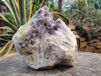 Natural Large Sugar Amethyst Cluster x 1 From Zambia