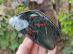 Polished Bloodstone Standing Free Forms x 3 From Swaziland - Toprock Gemstones and Minerals 