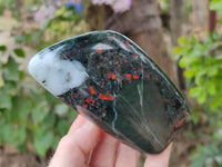 Polished Bloodstone Standing Free Forms x 3 From Swaziland