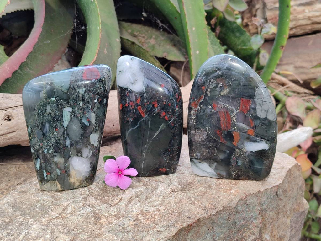 Polished Bloodstone Standing Free Forms x 3 From Swaziland - Toprock Gemstones and Minerals 