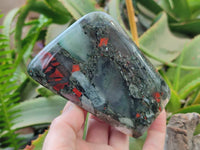 Polished Bloodstone Standing Free Forms x 3 From Swaziland