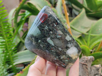 Polished Bloodstone Standing Free Forms x 3 From Swaziland