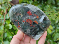 Polished Bloodstone Standing Free Forms x 3 From Swaziland