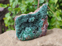 Natural Drusy Coated Malachite On Dolomite Specimens x 6 From Lupoto Mine, Congo