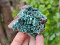 Natural Drusy Coated Malachite On Dolomite Specimens x 6 From Lupoto Mine, Congo
