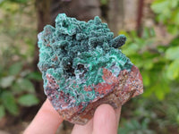 Natural Drusy Coated Malachite On Dolomite Specimens x 6 From Lupoto Mine, Congo