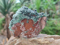 Natural Drusy Coated Malachite On Dolomite Specimens x 6 From Lupoto Mine, Congo
